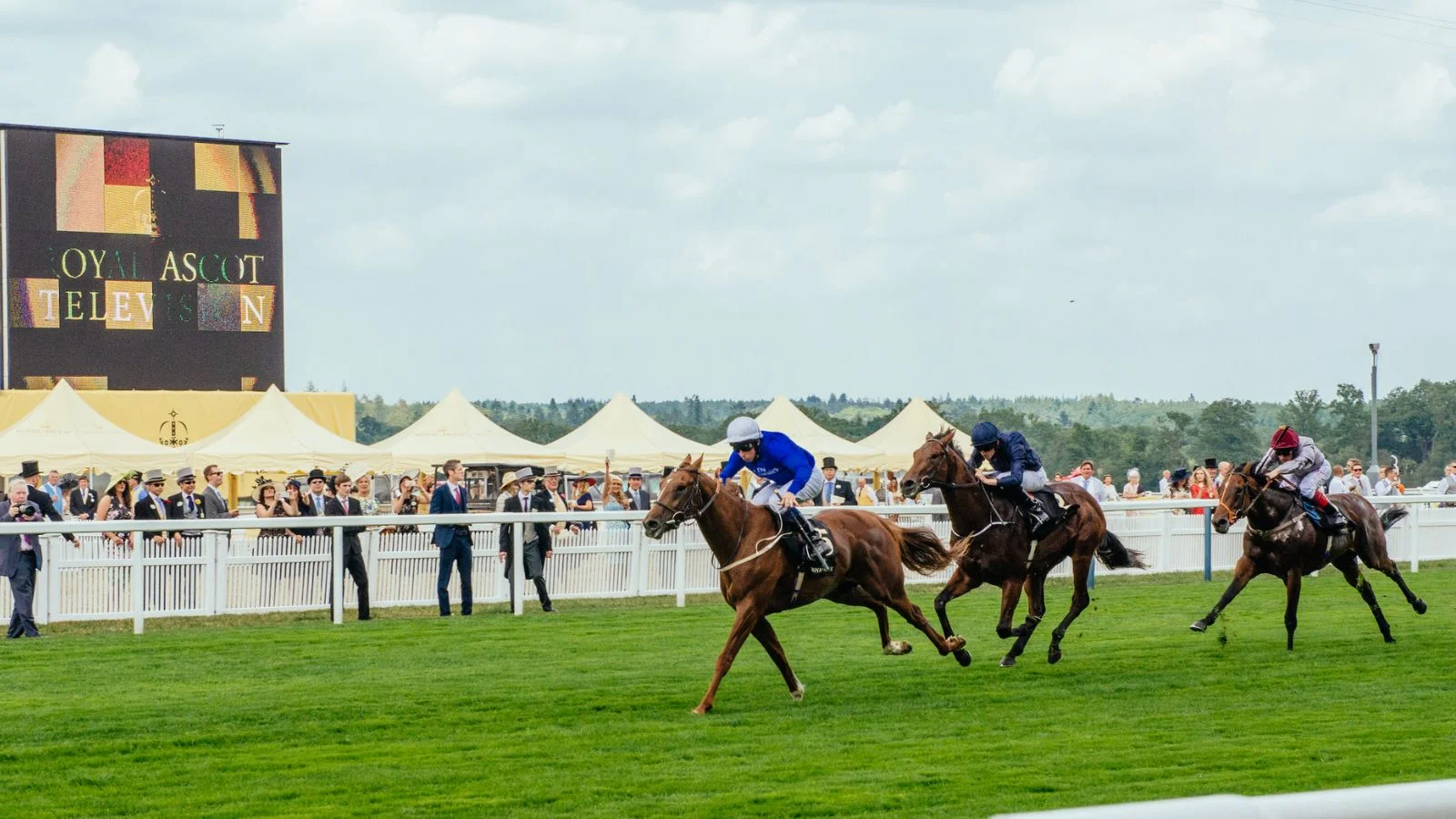 The Best Betting Sites for Royal Ascot 2024